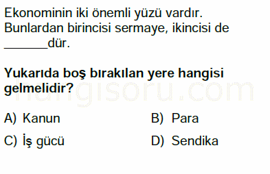 Soru 13