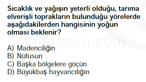 Soru 10