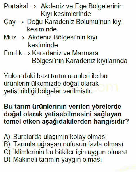Soru 10