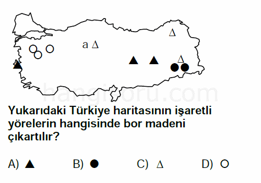 Soru 8