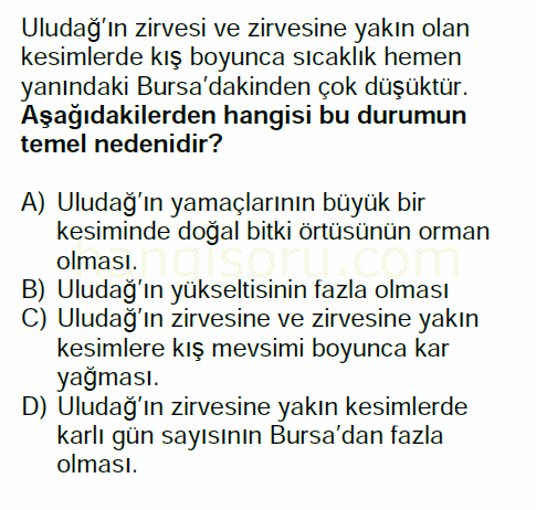 Soru 11
