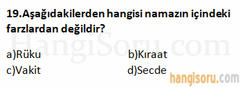 Soru 19