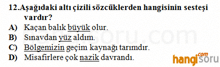 Soru 12