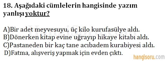Soru 18