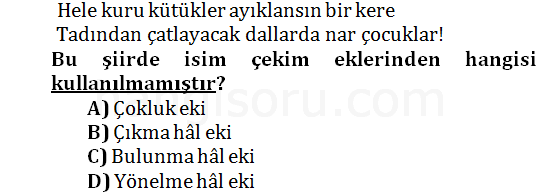 Soru 4