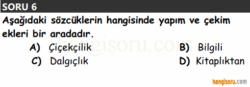 Soru 6