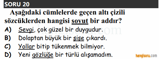 Soru 19