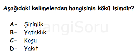 Soru 3
