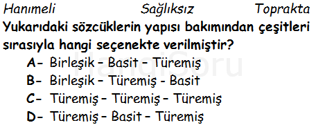 Soru 12