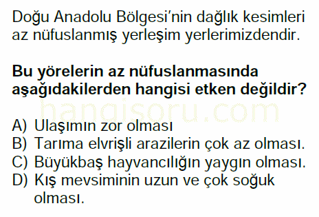 Soru 11