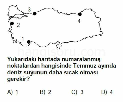 Soru 12