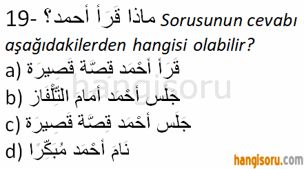 Soru 19