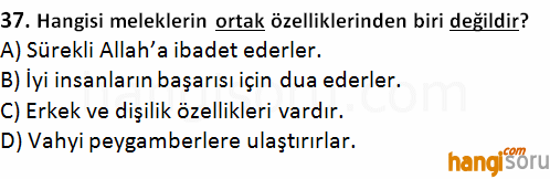 Soru 37