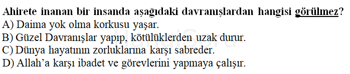 Soru 17