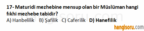 Soru 17