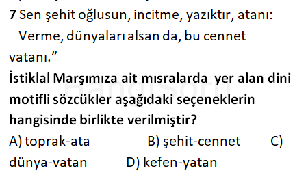 Soru 7