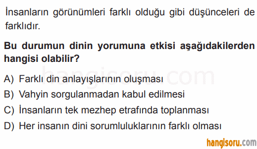 Soru 7