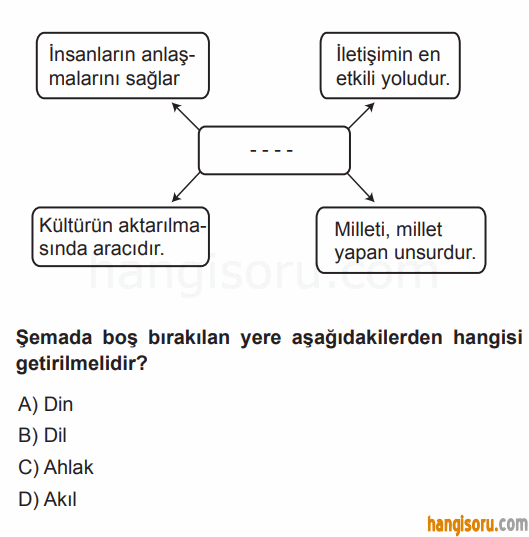 Soru 8
