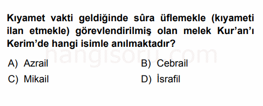 Soru 3