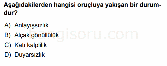 Soru 7