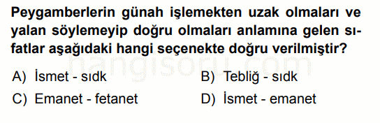 Soru 4