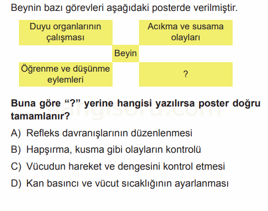 Soru 5