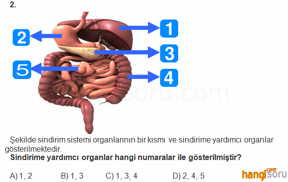 Soru 2