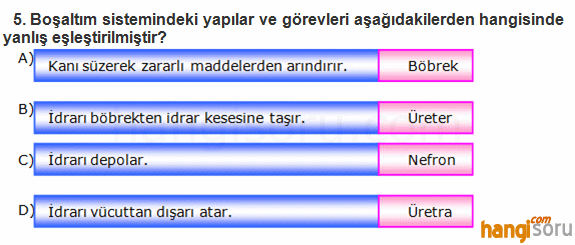 Soru 5