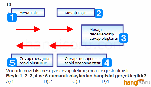 Soru 10