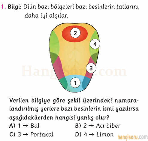 Soru 1