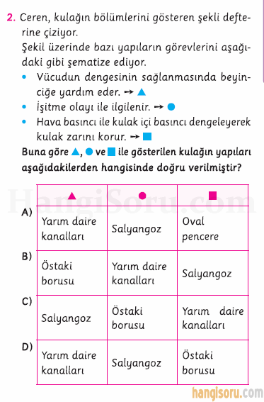 Soru 2