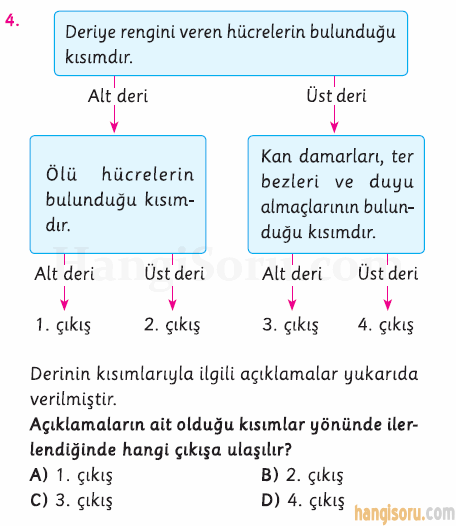 Soru 4