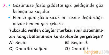 Soru 7