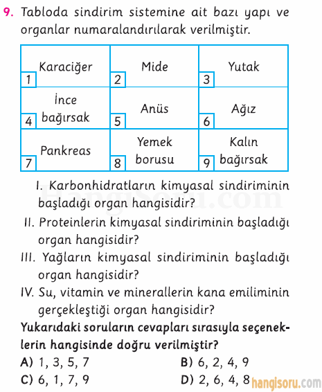Soru 9