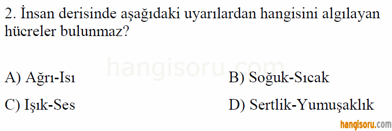 Soru 2