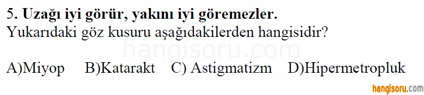 Soru 5