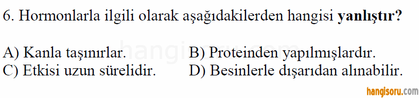 Soru 6