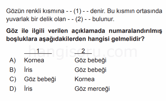 Soru 2