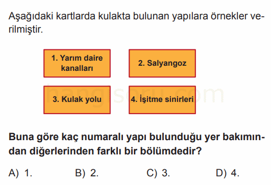 Soru 3