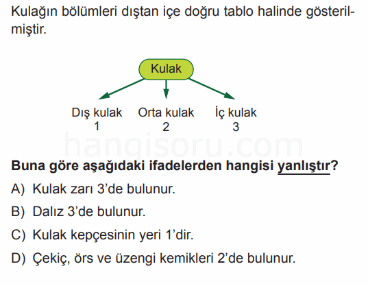 Soru 4