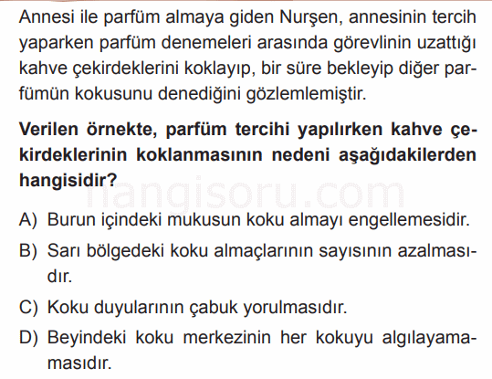 Soru 7