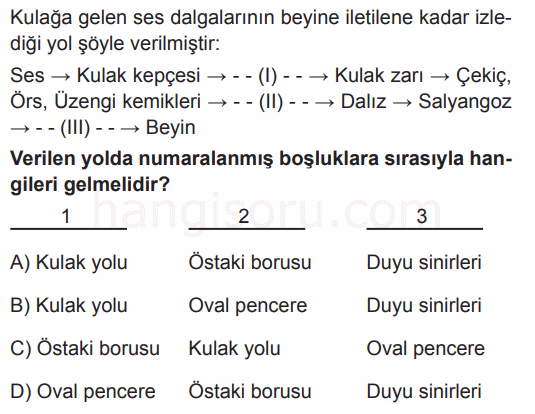 Soru 10