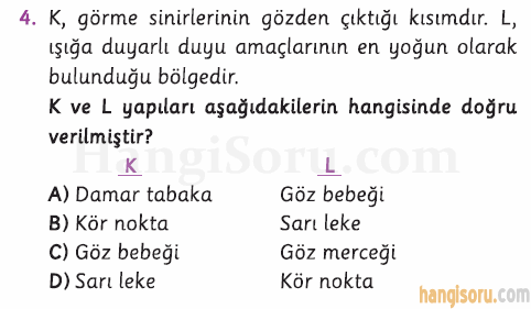 Soru 4