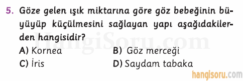 Soru 5