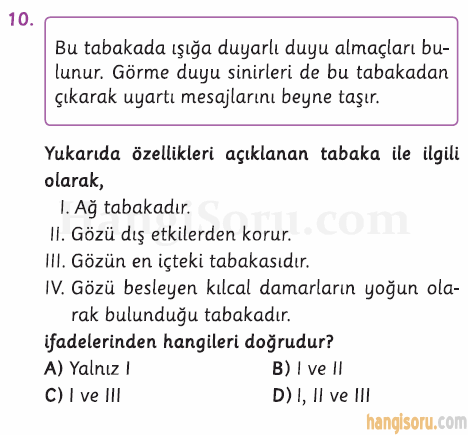 Soru 10