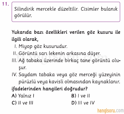 Soru 11