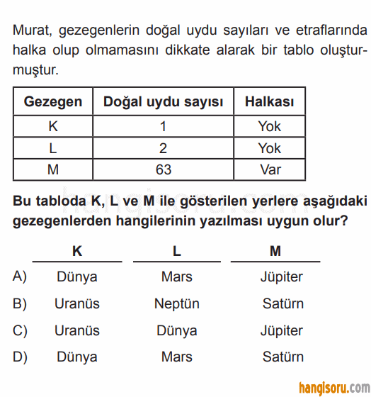 Soru 8