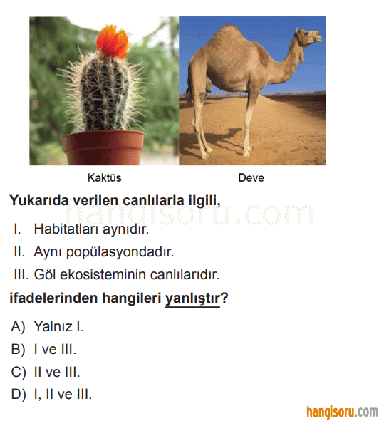 Soru 4