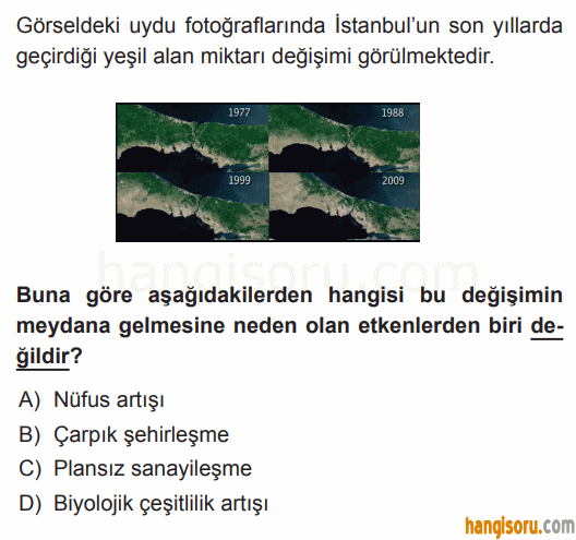 Soru 7