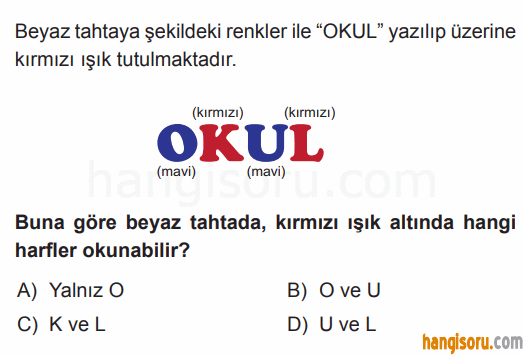Soru 7